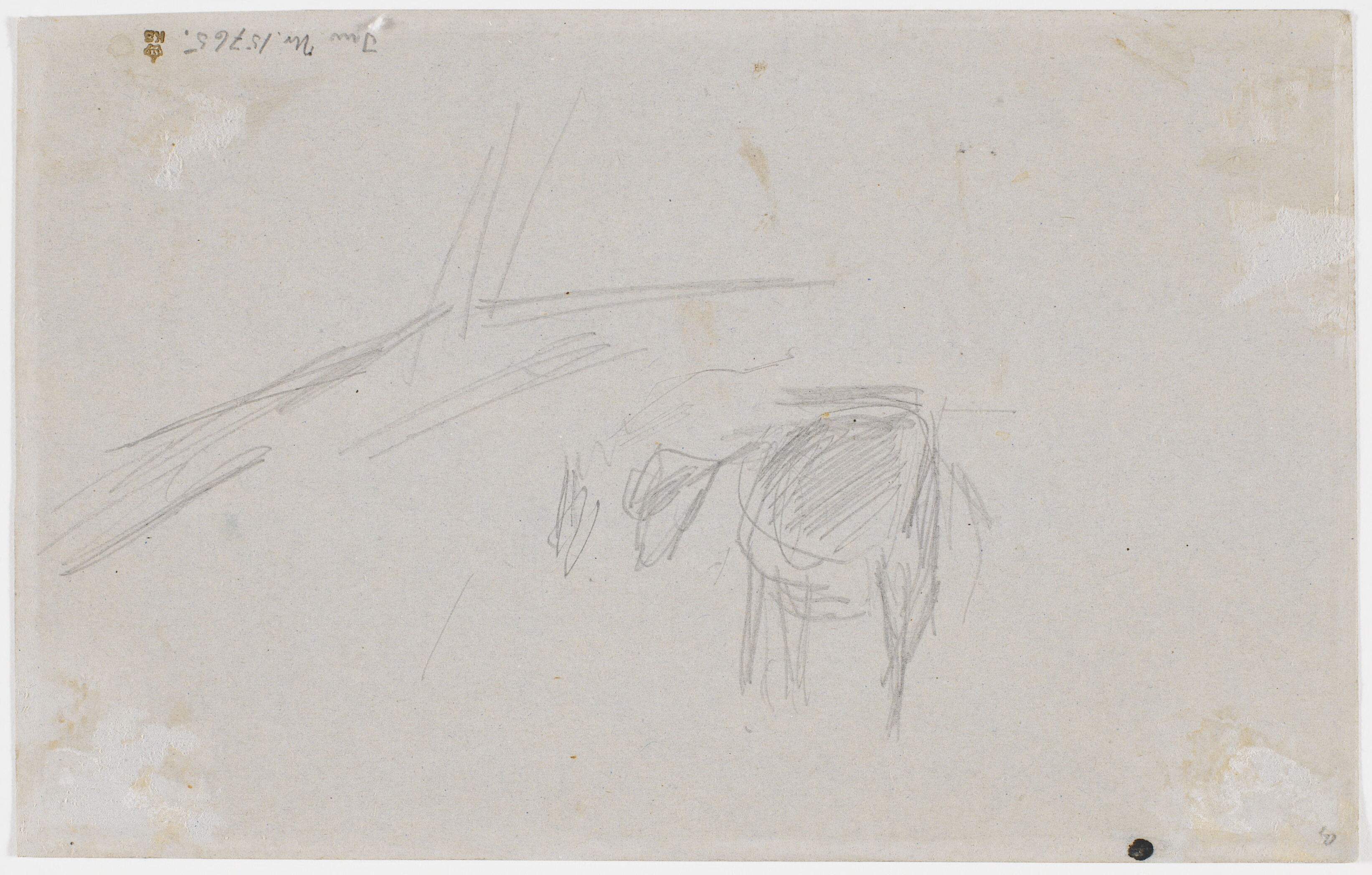 To kalve (samme som på forsiden)